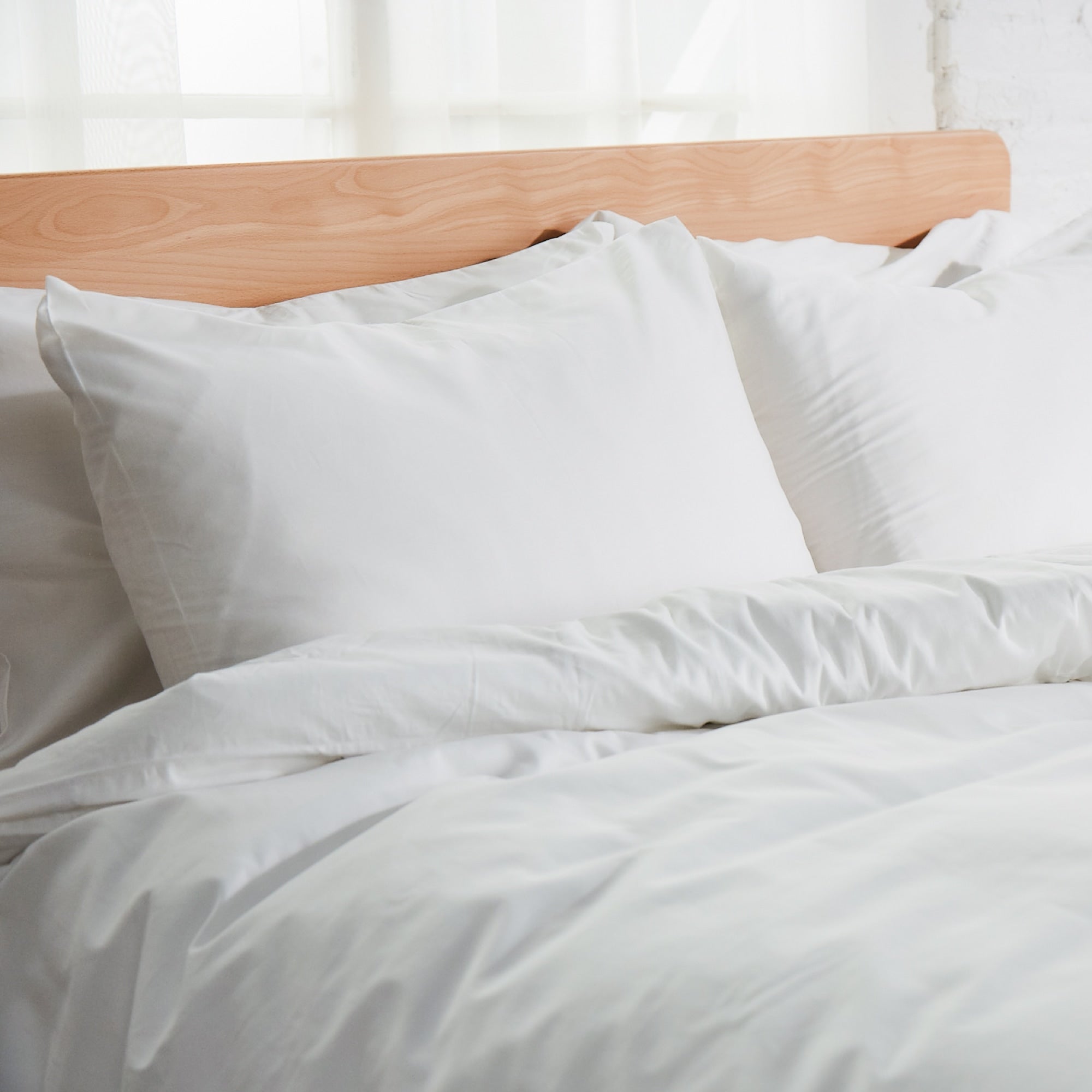 01_AVOCADO_PERCALE_ORGANIC_COTTON_SHAMS_270TC_2000w